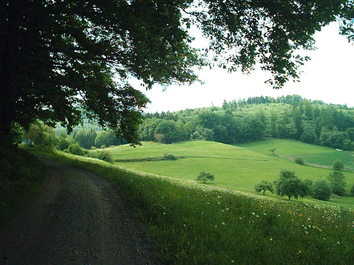 Wandern im Fischbachtal