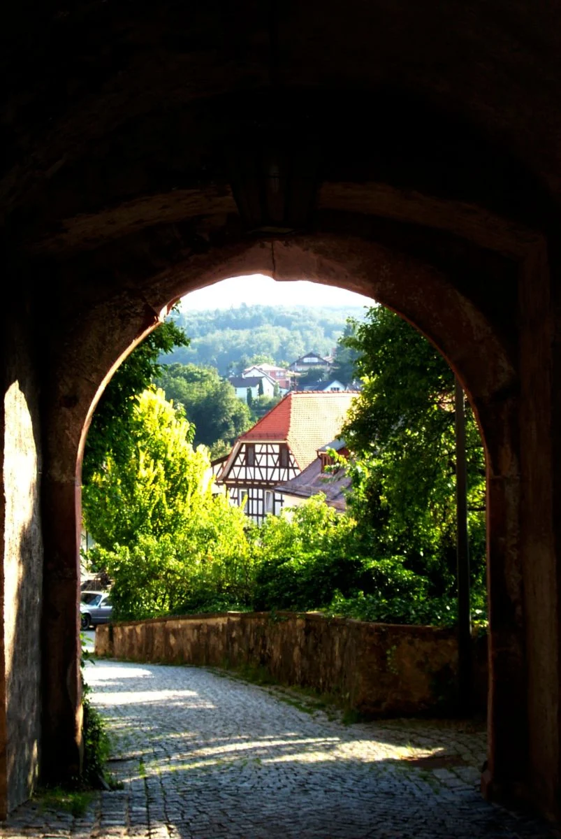 Fischbachtal Landschaft
