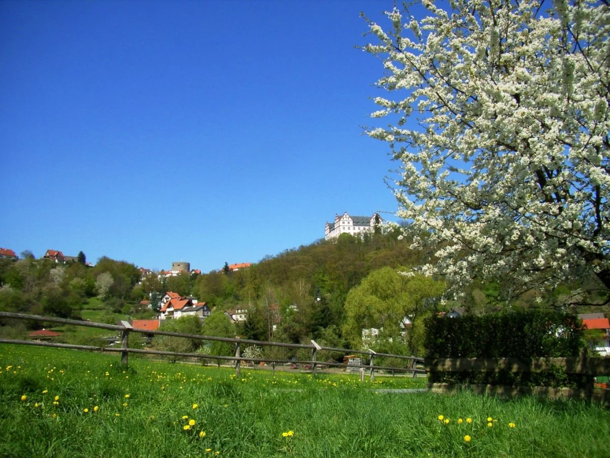 Fischbachtal Waldweg