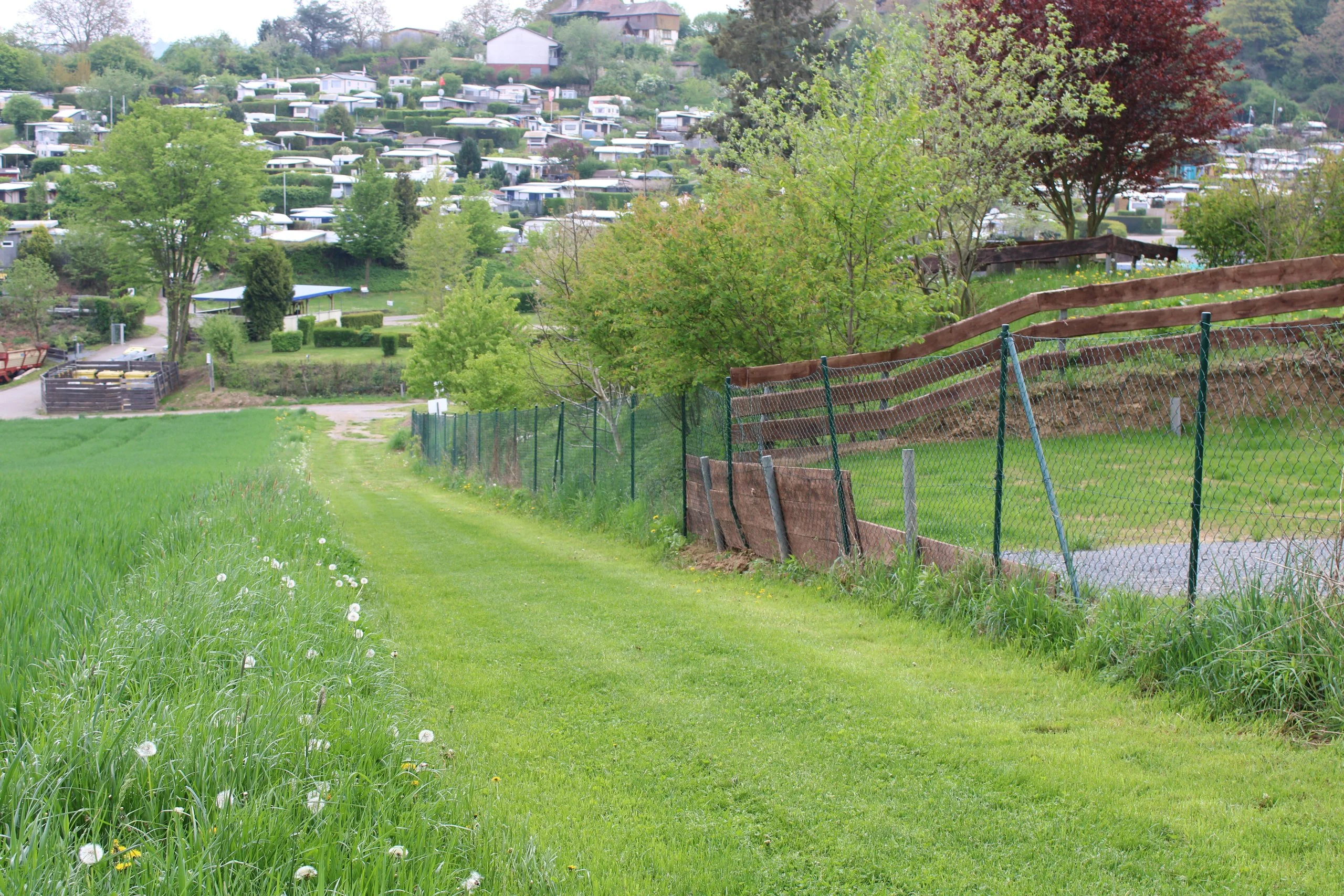 Hundebereich Campingplatz